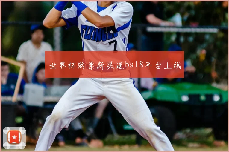 世界杯购票新渠道bs18平台上线