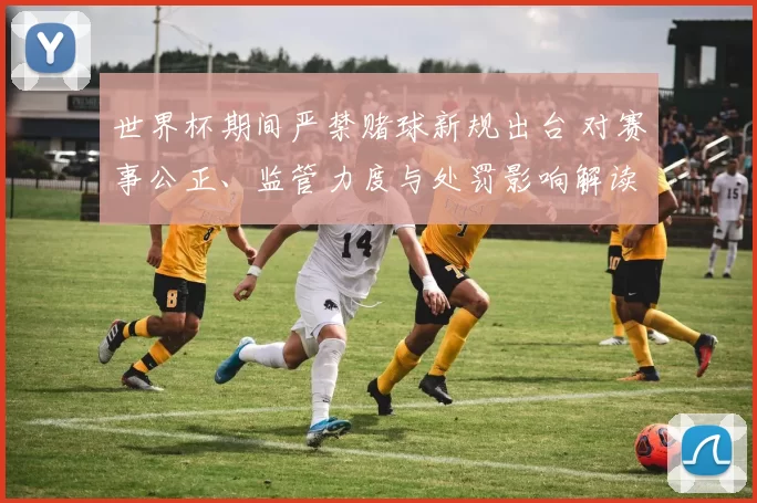 世界杯期间严禁赌球新规出台 对赛事公正、监管力度与处罚影响解读